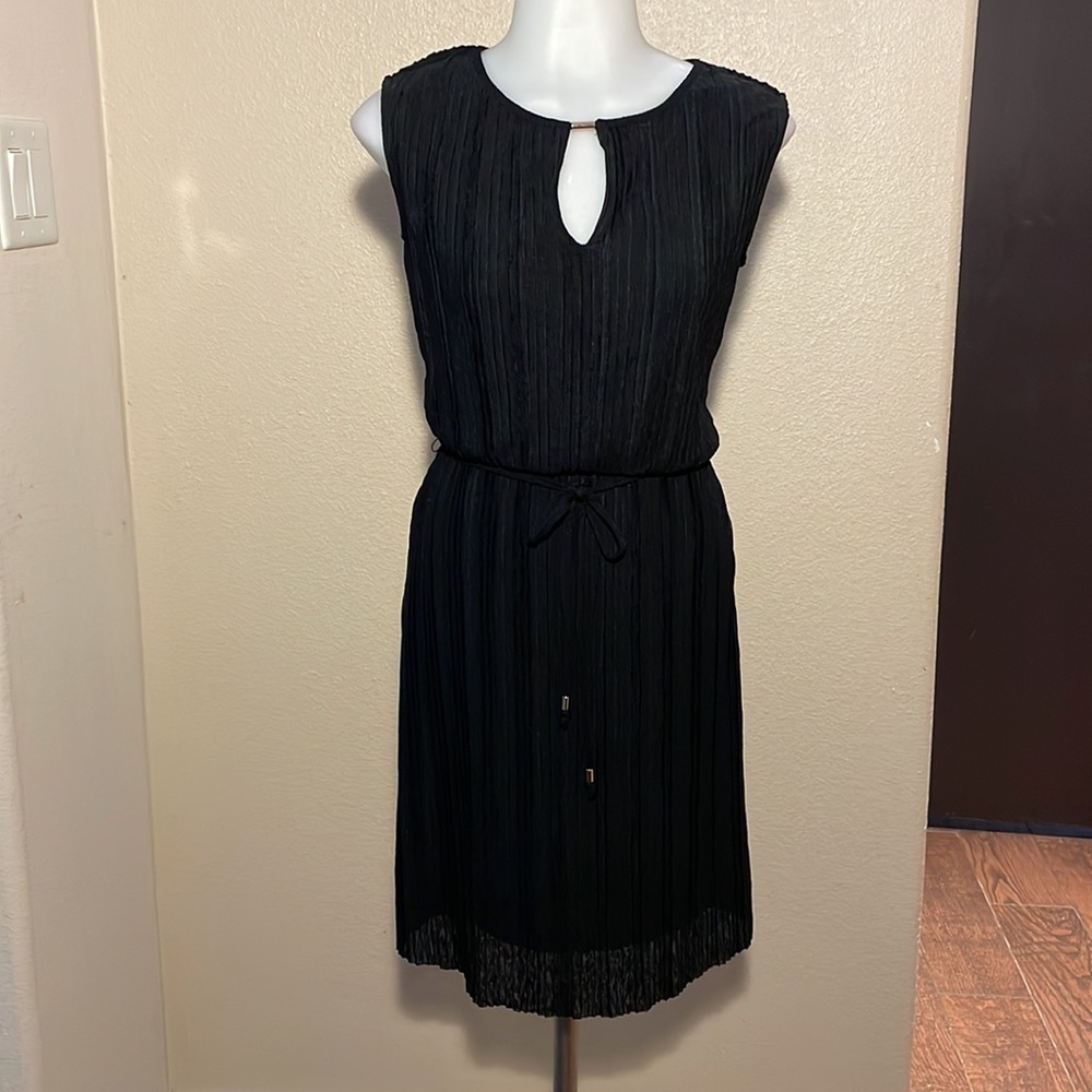 Charmed hearts, pleated dress